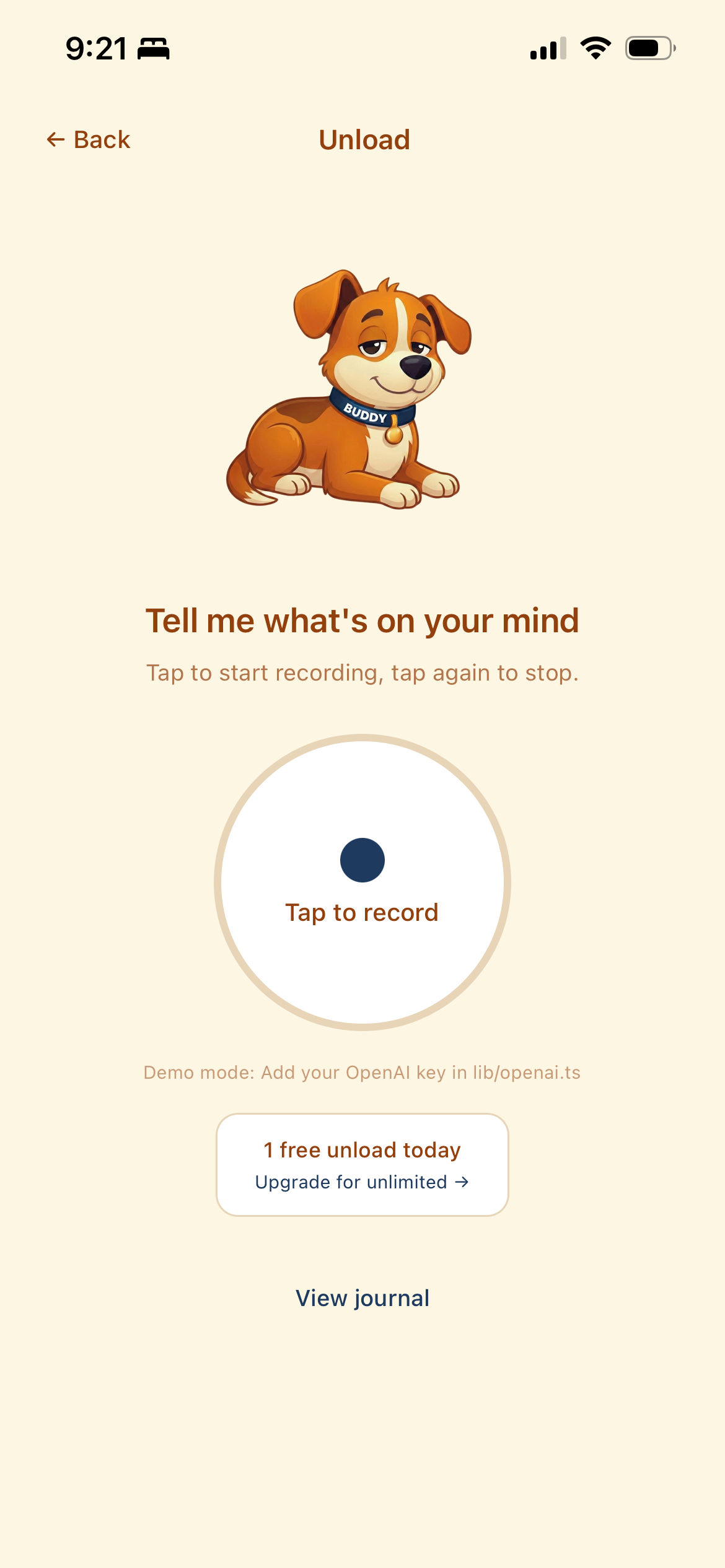 ADHD voice recording - Tell me what's on your mind